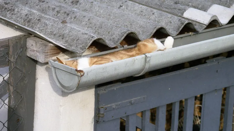 Gutter holding debris below a roof edge